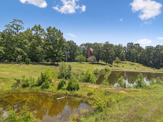 121 High Forest Dr, Hampshire, TN 38461 - photo 68