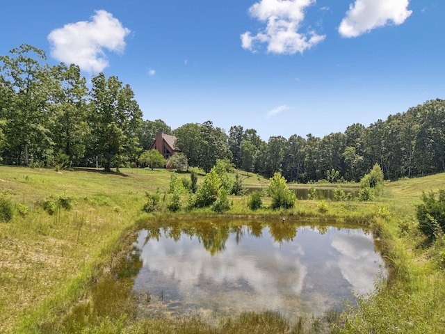 121 High Forest Dr, Hampshire, TN 38461 - photo 66