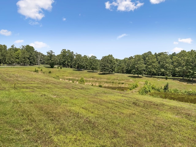 121 High Forest Dr, Hampshire, TN 38461 - photo 64