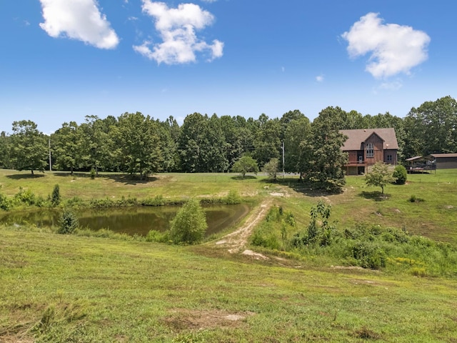 121 High Forest Dr, Hampshire, TN 38461 - photo 63