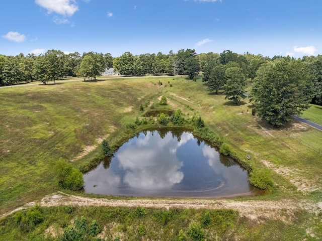 121 High Forest Dr, Hampshire, TN 38461 - photo 61