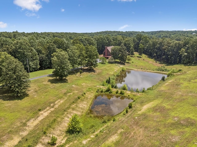 121 High Forest Dr, Hampshire, TN 38461 - photo 65
