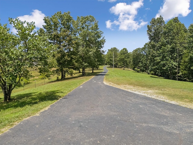 121 High Forest Dr, Hampshire, TN 38461 - photo 70