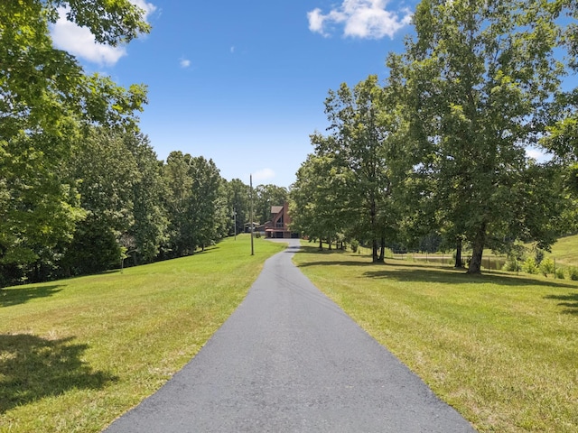 121 High Forest Dr, Hampshire, TN 38461 - photo 75
