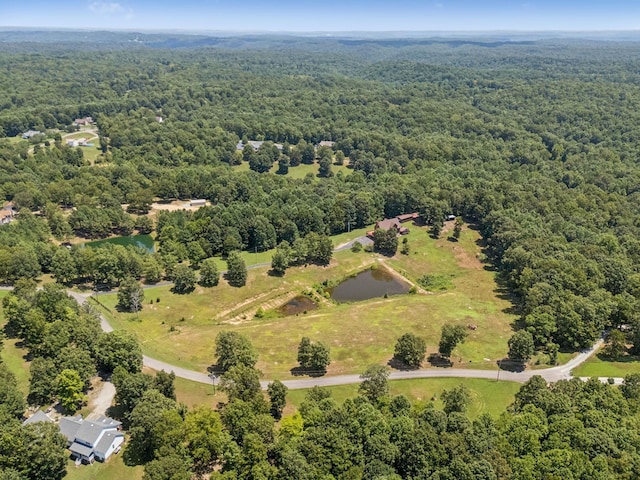 121 High Forest Dr, Hampshire, TN 38461 - photo 71
