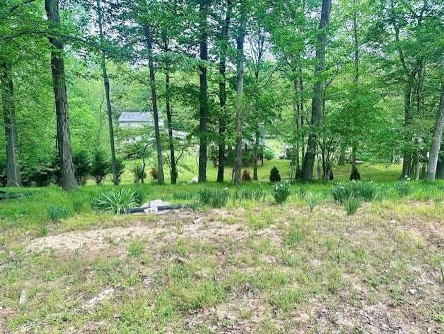 110 Fox Squirrel Dr, Dover, TN 37058 - photo 1