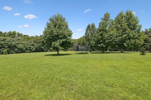 7010 Krusell Dunn Ln, College Grove, TN 37046 - photo 74