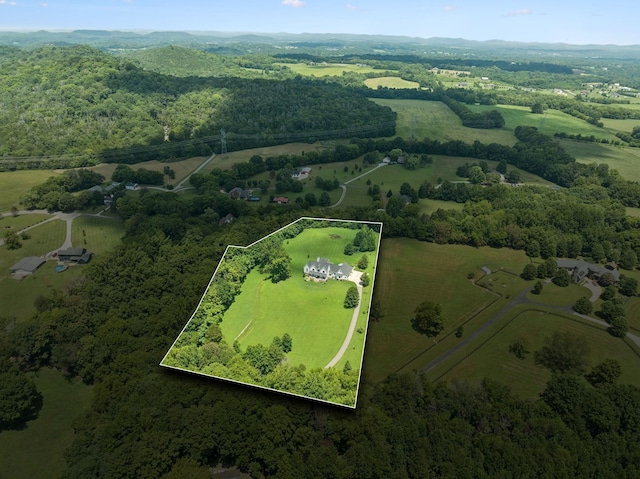 7010 Krusell Dunn Ln, College Grove, TN 37046 - photo 67