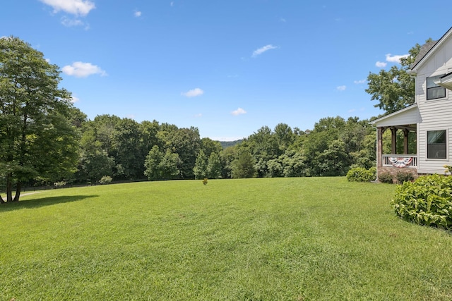 7010 Krusell Dunn Ln, College Grove, TN 37046 - photo 76