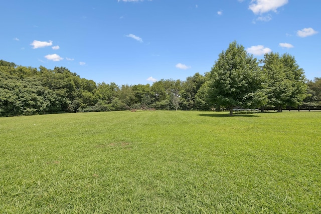 7010 Krusell Dunn Ln, College Grove, TN 37046 - photo 75