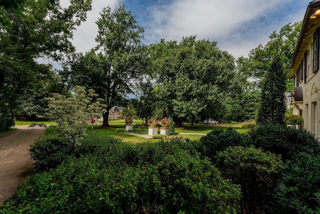 218 Deer Park Dr, Nashville, TN 37205 - photo 55