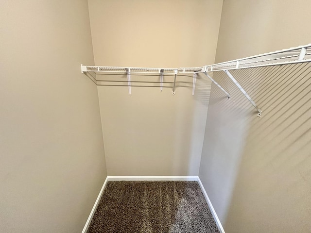 588 Joshua Dr, Clarksville, TN 37042 - photo 9