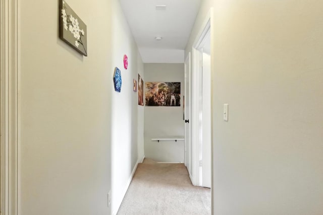 5005 Wilkerson Dr, Nashville, TN 37211 - photo 13