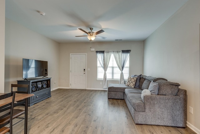 335 Kristen Ct, Columbia, TN 38401 - photo 6