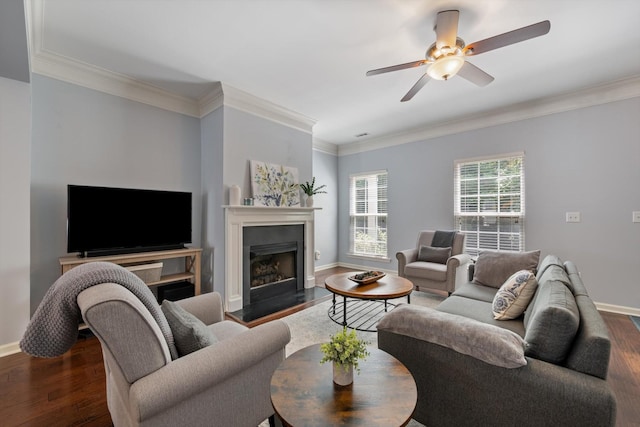 817 Hobbit Ln, Nashville, TN 37211 - photo 6