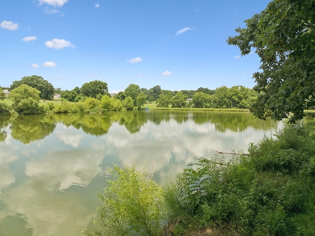 1411 Bell Meadow Ct, Nolensville, TN 37135 - photo 59