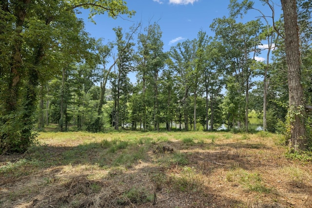 1411 Bell Meadow Ct, Nolensville, TN 37135 - photo 45