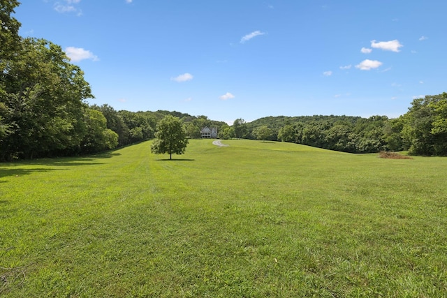 1411 Bell Meadow Ct, Nolensville, TN 37135 - photo 44