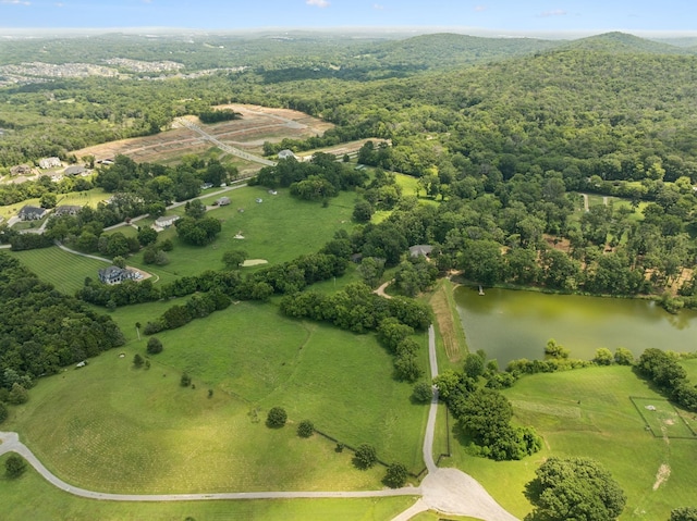 1411 Bell Meadow Ct, Nolensville, TN 37135 - photo 73