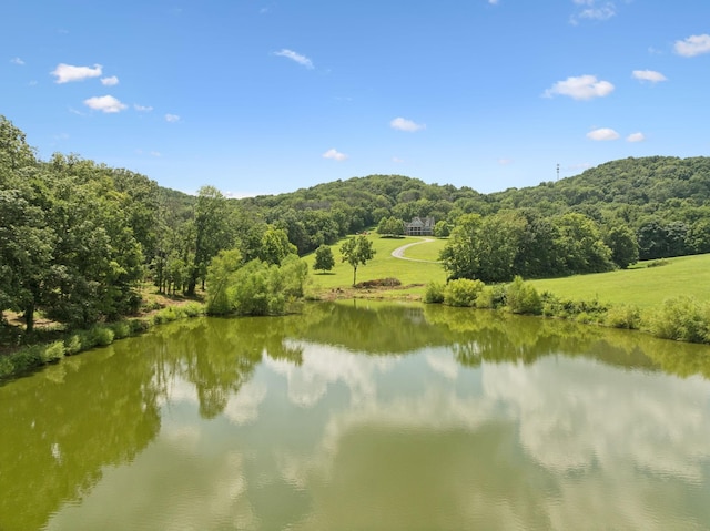 1411 Bell Meadow Ct, Nolensville, TN 37135 - photo 58