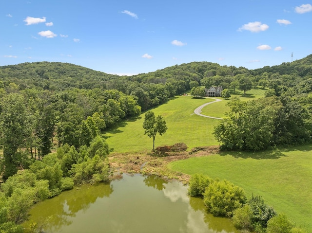 1411 Bell Meadow Ct, Nolensville, TN 37135 - photo 55