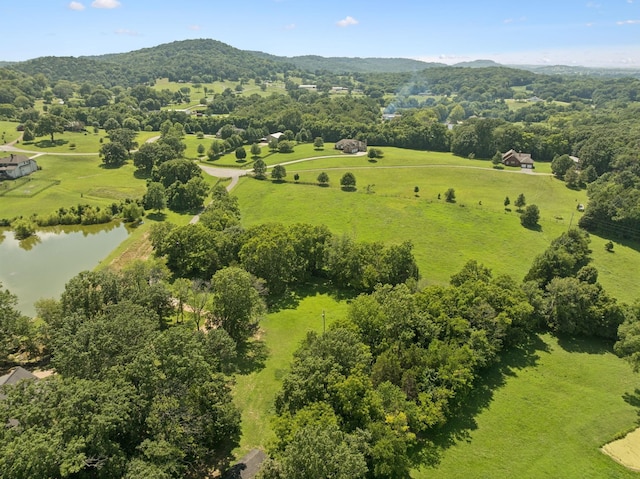 1411 Bell Meadow Ct, Nolensville, TN 37135 - photo 79