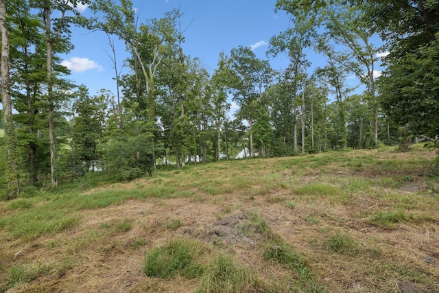 1411 Bell Meadow Ct, Nolensville, TN 37135 - photo 40