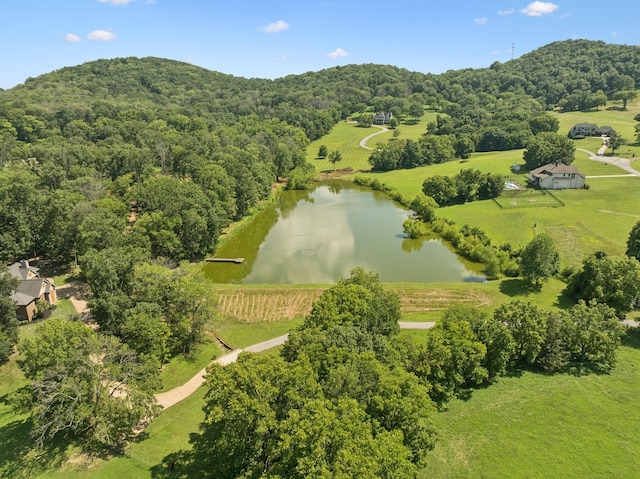 1411 Bell Meadow Ct, Nolensville, TN 37135 - photo 78