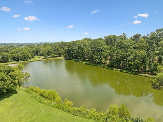 1411 Bell Meadow Ct, Nolensville, TN 37135 - photo 66
