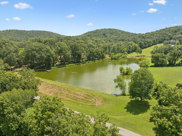 1411 Bell Meadow Ct, Nolensville, TN 37135 - photo 74