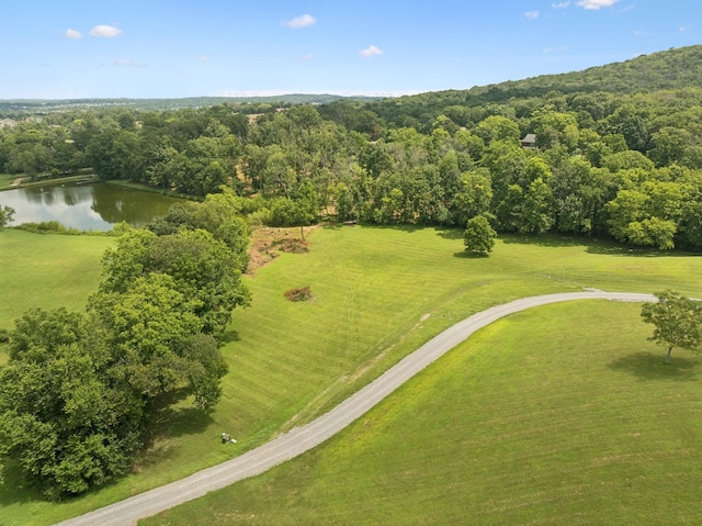1411 Bell Meadow Ct, Nolensville, TN 37135 - photo 54