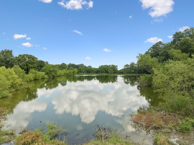 1411 Bell Meadow Ct, Nolensville, TN 37135 - photo 49
