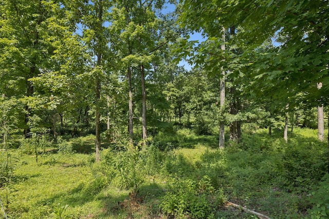 1411 Bell Meadow Ct, Nolensville, TN 37135 - photo 47