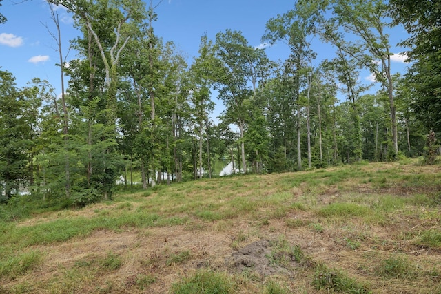 1411 Bell Meadow Ct, Nolensville, TN 37135 - photo 41