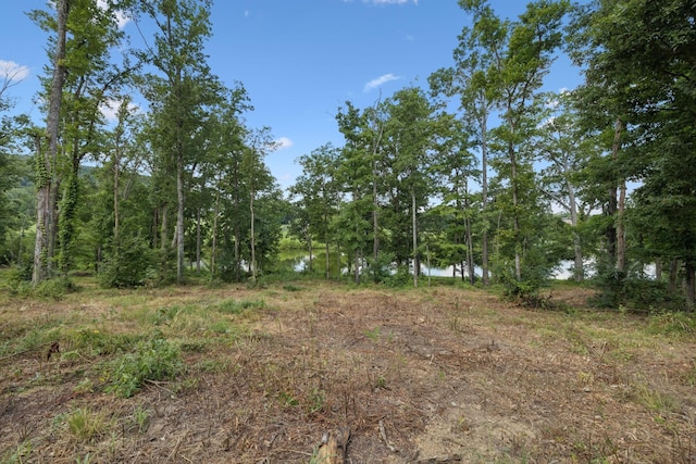 1411 Bell Meadow Ct, Nolensville, TN 37135 - photo 38