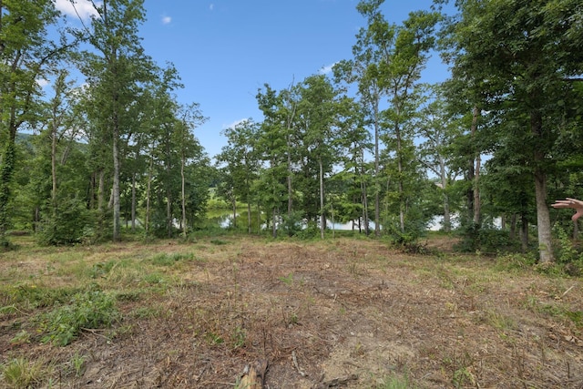 1411 Bell Meadow Ct, Nolensville, TN 37135 - photo 37