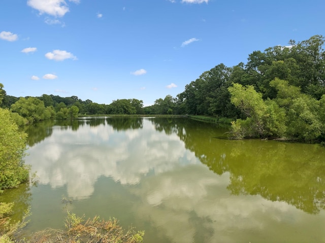 1411 Bell Meadow Ct, Nolensville, TN 37135 - photo 50