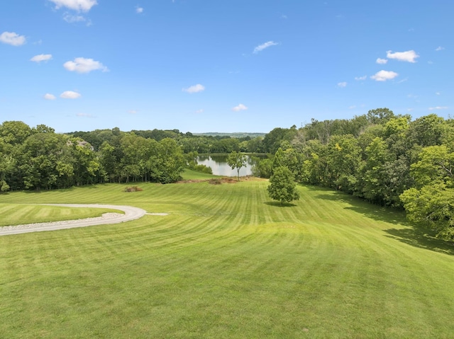 1411 Bell Meadow Ct, Nolensville, TN 37135 - photo 51