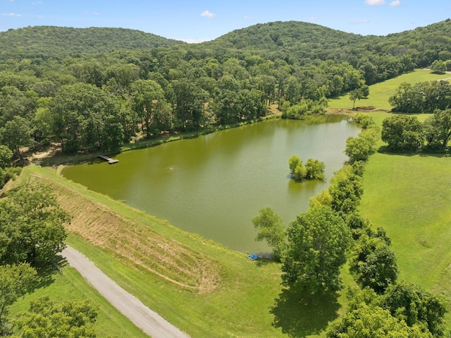 1411 Bell Meadow Ct, Nolensville, TN 37135 - photo 64