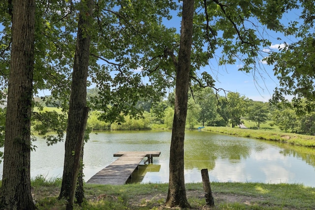 1411 Bell Meadow Ct, Nolensville, TN 37135 - photo 46