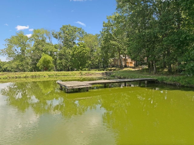 1411 Bell Meadow Ct, Nolensville, TN 37135 - photo 69