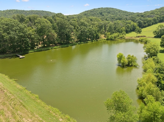 1411 Bell Meadow Ct, Nolensville, TN 37135 - photo 65
