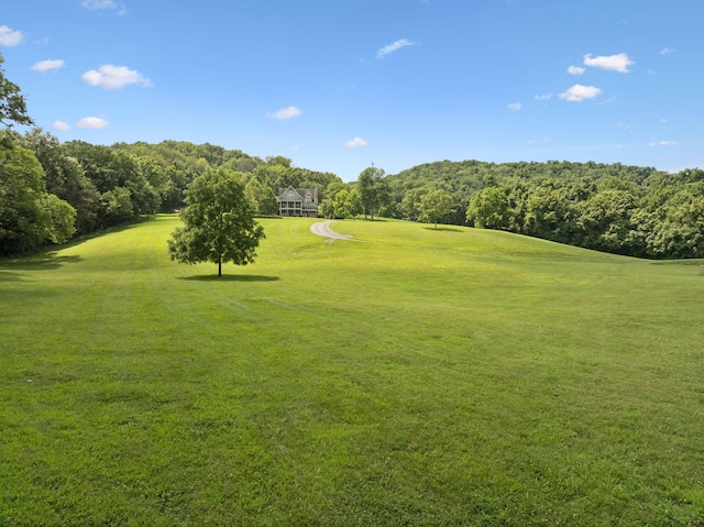 1411 Bell Meadow Ct, Nolensville, TN 37135 - photo 48