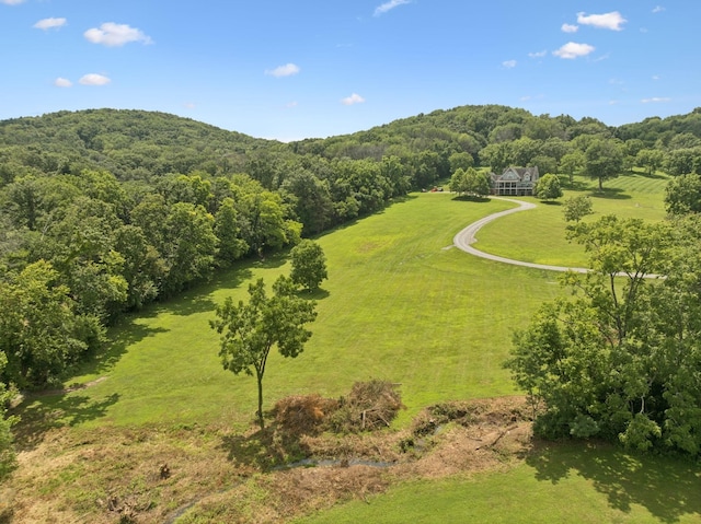 1411 Bell Meadow Ct, Nolensville, TN 37135 - photo 56