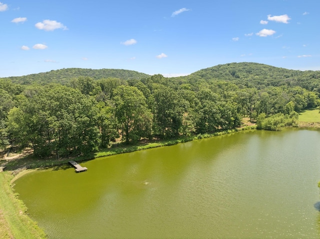 1411 Bell Meadow Ct, Nolensville, TN 37135 - photo 77