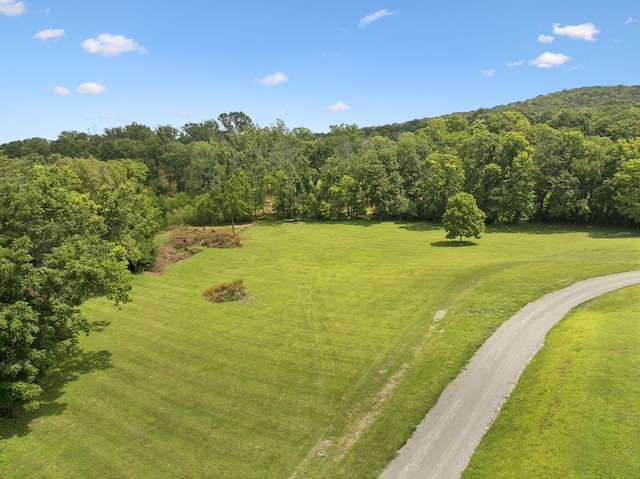 1411 Bell Meadow Ct, Nolensville, TN 37135 - photo 53
