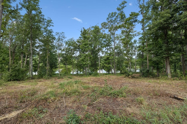 1411 Bell Meadow Ct, Nolensville, TN 37135 - photo 39