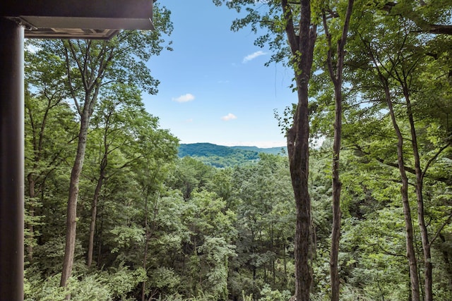 1857 Laurel Ridge Dr, Nashville, TN 37215 - photo 33