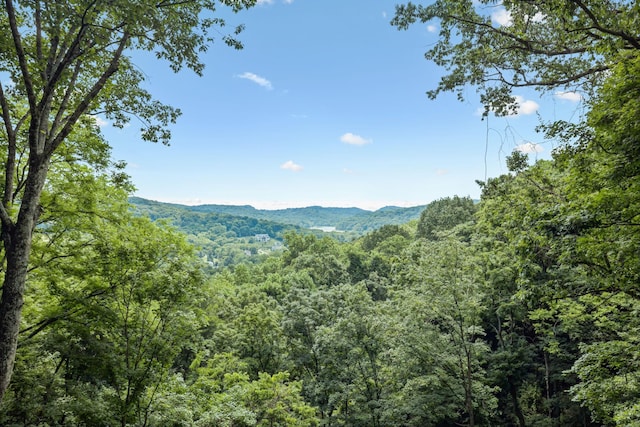 1857 Laurel Ridge Dr, Nashville, TN 37215 - photo 30