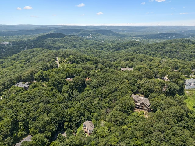 1857 Laurel Ridge Dr, Nashville, TN 37215 - photo 35